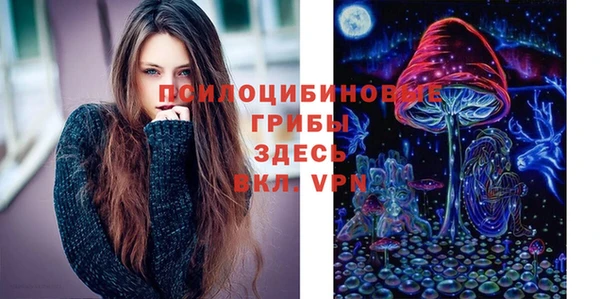 spice Володарск