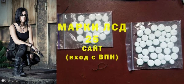молекула духа Бородино